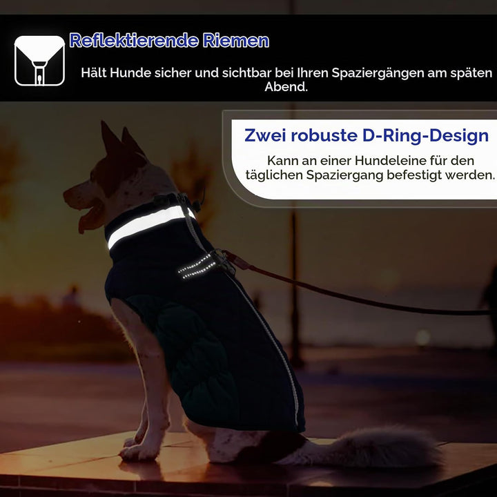 AOFITEE Hundejacke Kleine Hunde, Wasserdicht Hunde Wintermantel Warm Hundemantel mit Geschirr, Rollk