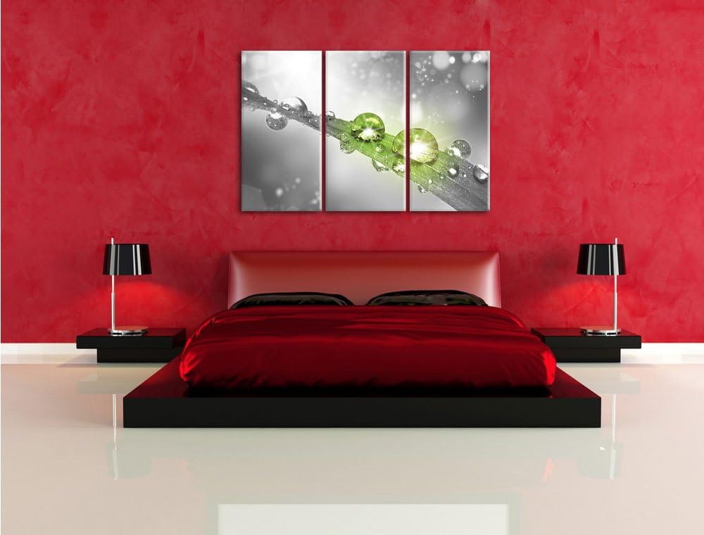 Pixxprint Wassertropfen auf Grashalm B&W Detail 3-Teiler Leinwandbild 120x80 Bild auf Leinwand