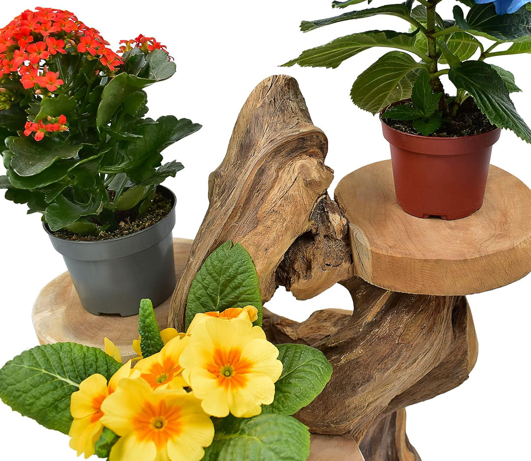 Möbelbörse Teak Blumenständer mit 3 Ablagen Blumenpodest Pflanzentreppe Blumenregal Ständer Blumenho