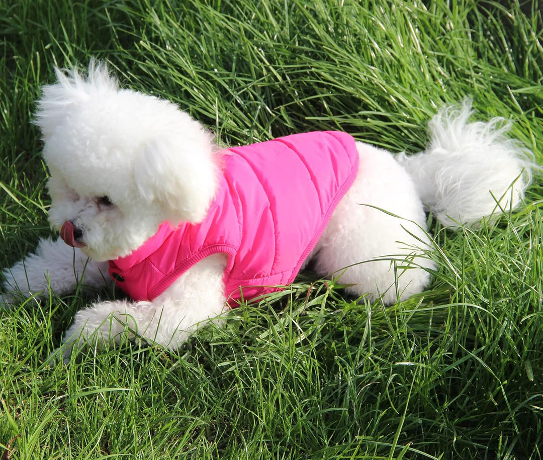 JoyDaog 2-lagige mit Fleece gefütterte Hundejacke, sehr warm für Winter und kaltes Wetter, extraweic