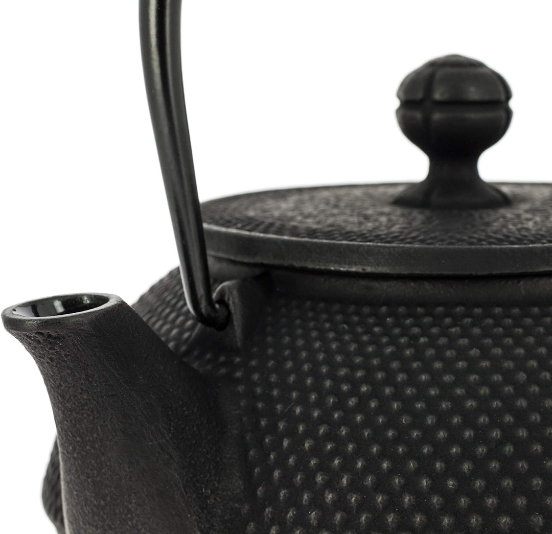 Iwachu Japanische Gusseisen Teekanne mit Filter und Traditionelles Design 900 ml schwarz