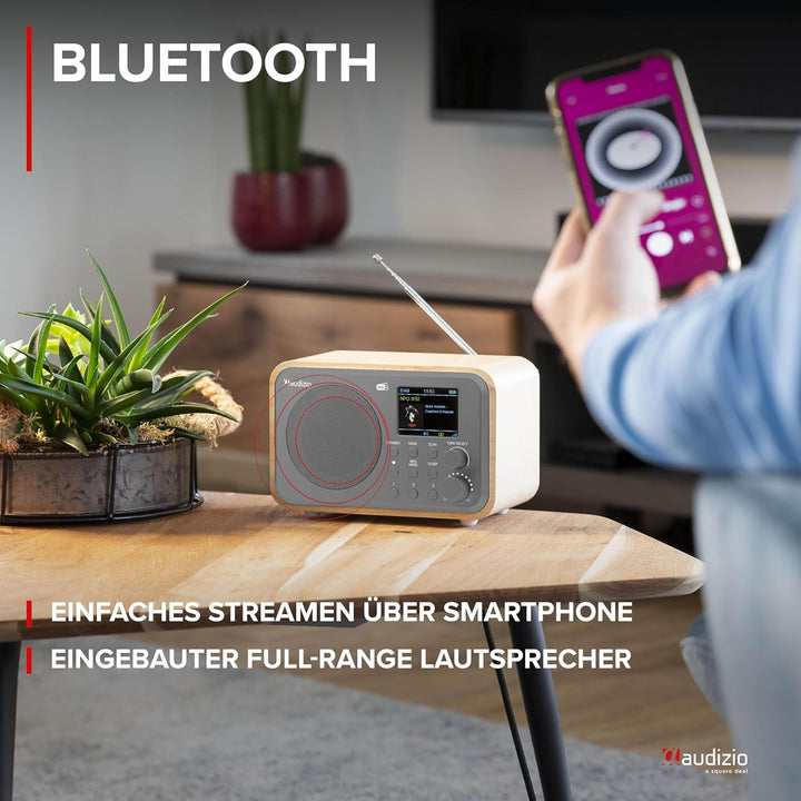 Audizio Milan DAB Radio mit Bluetooth, 10 Stunden Akku Radio 2000 mAh, Radiowecker mit Sleeptimer, L