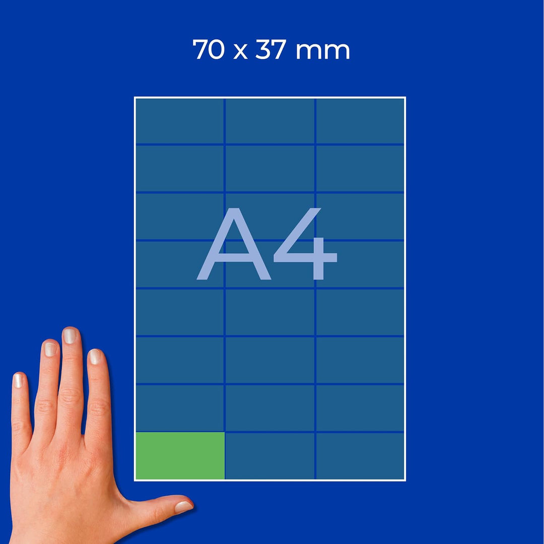 AVERY Zweckform 3450 Grüne Etiketten (2.400 Aufkleber, 70x37mm auf A4, permanent haftend, selbstkleb