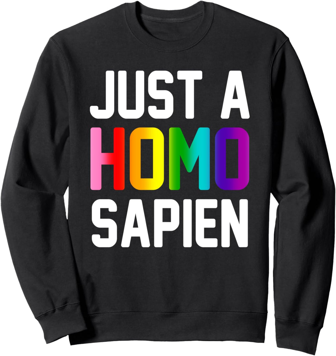 Homosexuell Stolz Regenbogen LGBTQ Queer Lesbian Nur ein Hom Sweatshirt