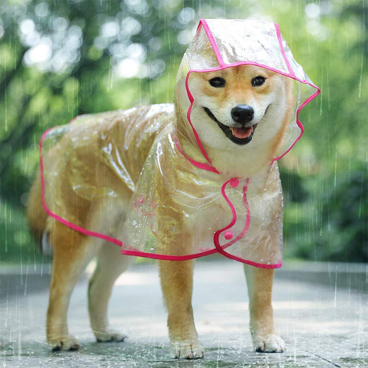 KoKoBin Reflektierender Mantel für Hunde und Katzen mit Kapuze, verstellbar, PVC, transparent, wasse