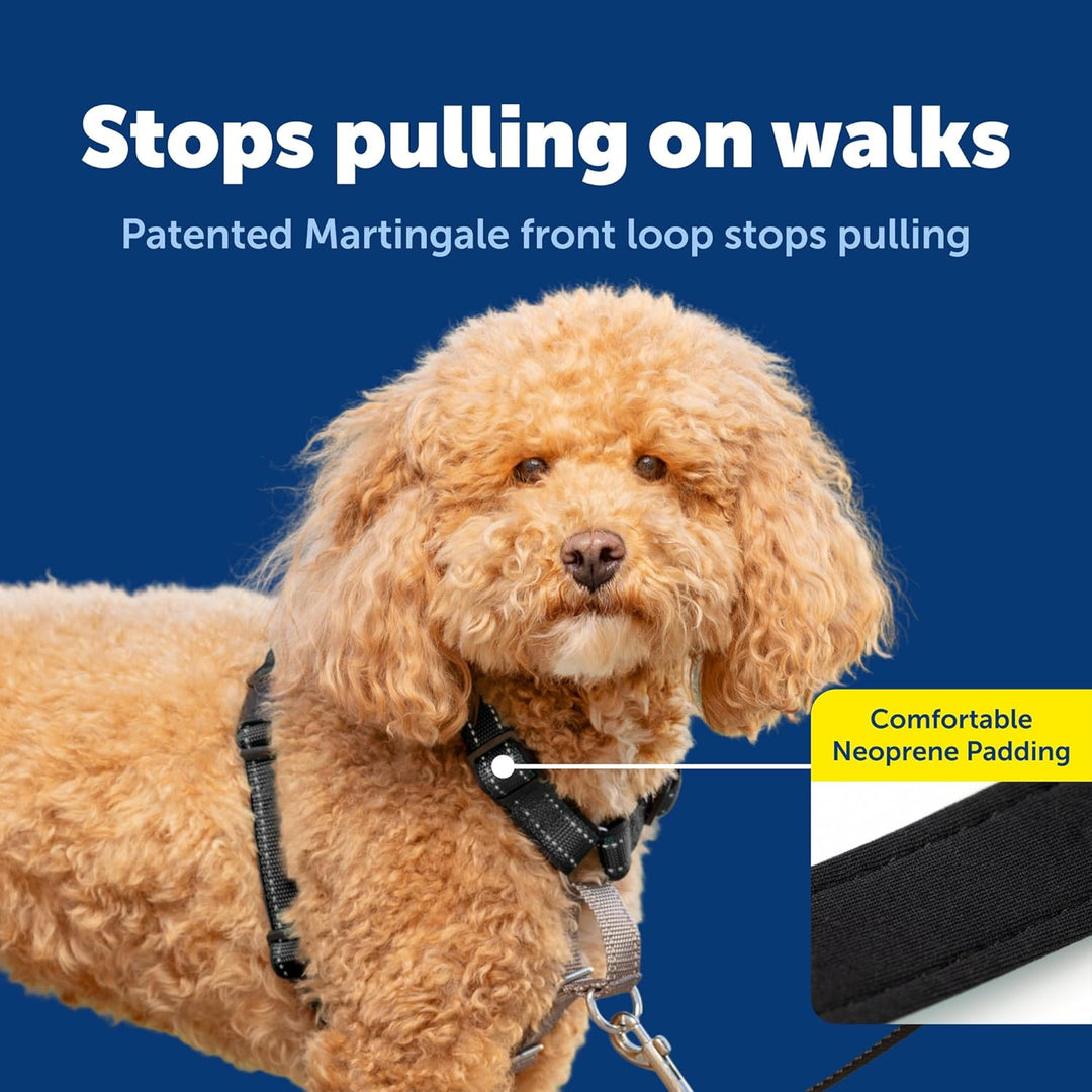 PetSafe 3in1 Harness, from The Makers of The Easy Walk Harness, Fully Adjustable No-Pull Dog Harness