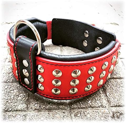 Bestia Star Hundehalsband mit Nieten und Innenpolsterung 6,5 cm Breit XXL - 65 bis 75 cm Halsumfang