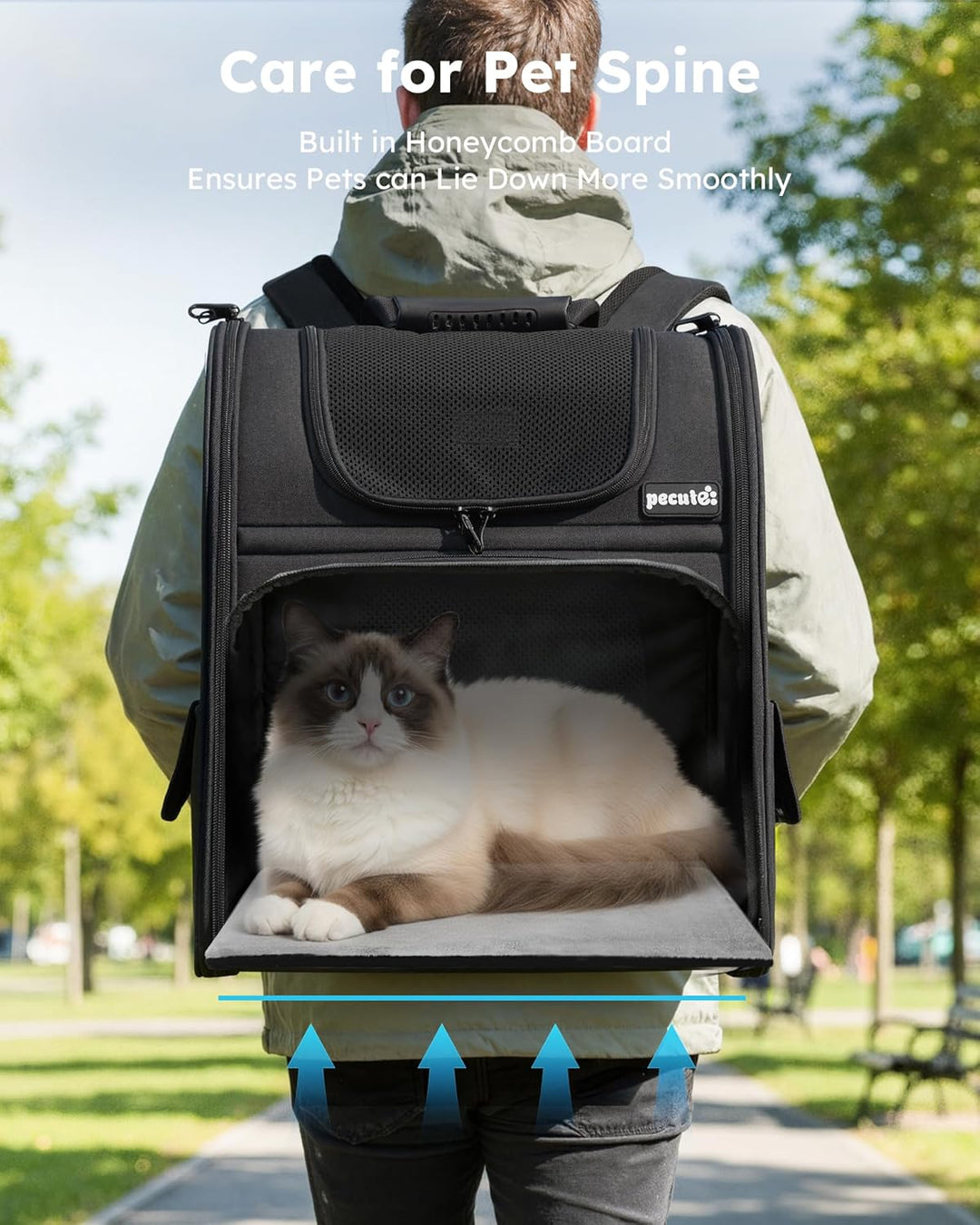 pecute Hunderucksack Erweiterbar XL für 6-10 kg, Faltbar Katzenrucksack Katzen mit Anti-offener Reis