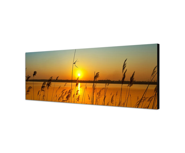 Augenblicke Wandbilder Leinwandbild als Panorama in 150x50cm Fluss Gräser Sonnenuntergang Himmel