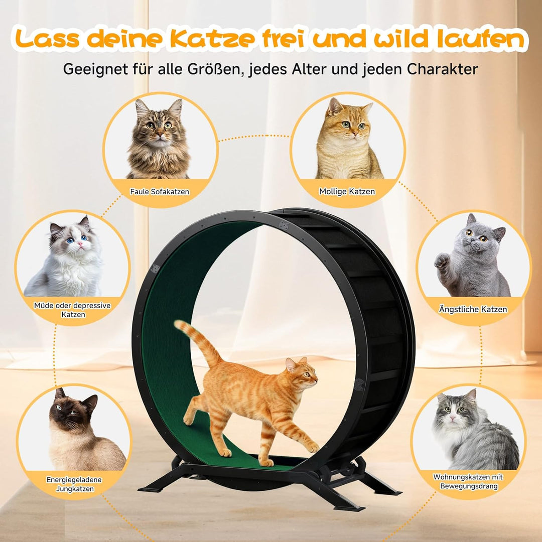 GTPLAYER Katzenlaufrad, laufrad Katze, Extra grosser 100 cm, ultraleises Laufrad mit Abnehmbarer Tep