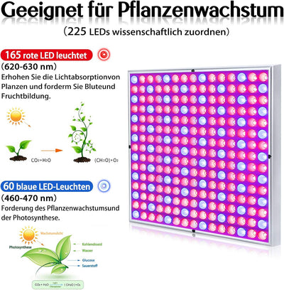 YRHome 45W LED Pflanzenlampe 225 LEDs Rot&Blau Pflanzen Innengarten Wachsen Licht Pflanze Pflanzenle