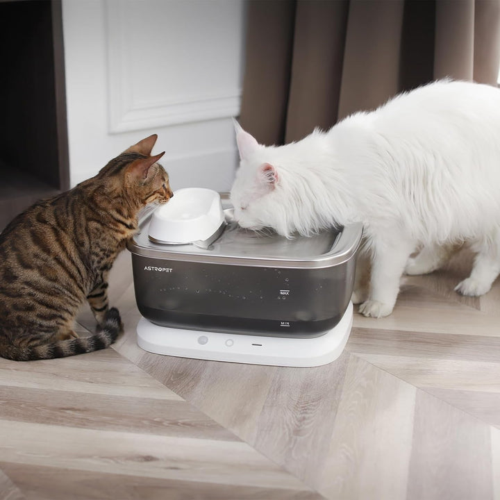 AstroPet 5 Stück Trinkbrunnen Filter kompatibel für 7 l Katzenbrunnen und Hundebrunnen Poseidon Seri
