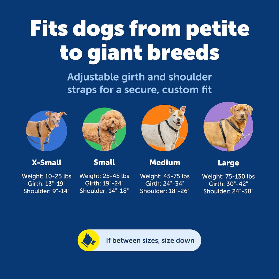 PetSafe 3-in-1-Geschirr, Easy Walk Hundegeschirrs, voll verstellbar, kein Ziehen, Schwarz, Grösse XS