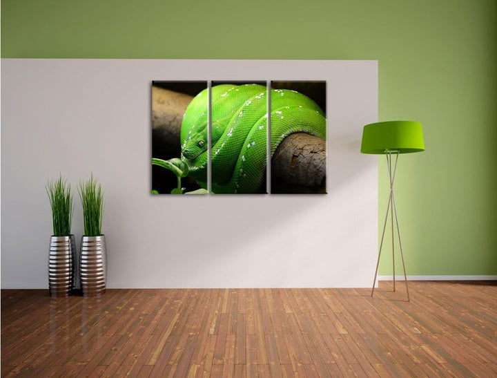 Pixxprint Grüne exotische Schlange als Leinwandbild/Grösse: 3 Teilig (120x80 cm) cm/Wandbild/Kunstdr