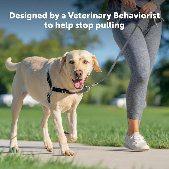 PetSafe Easy Walk Hundegeschirr, kein Ziehen, das ultimative Geschirr, um das Ziehen zu stoppen, übe