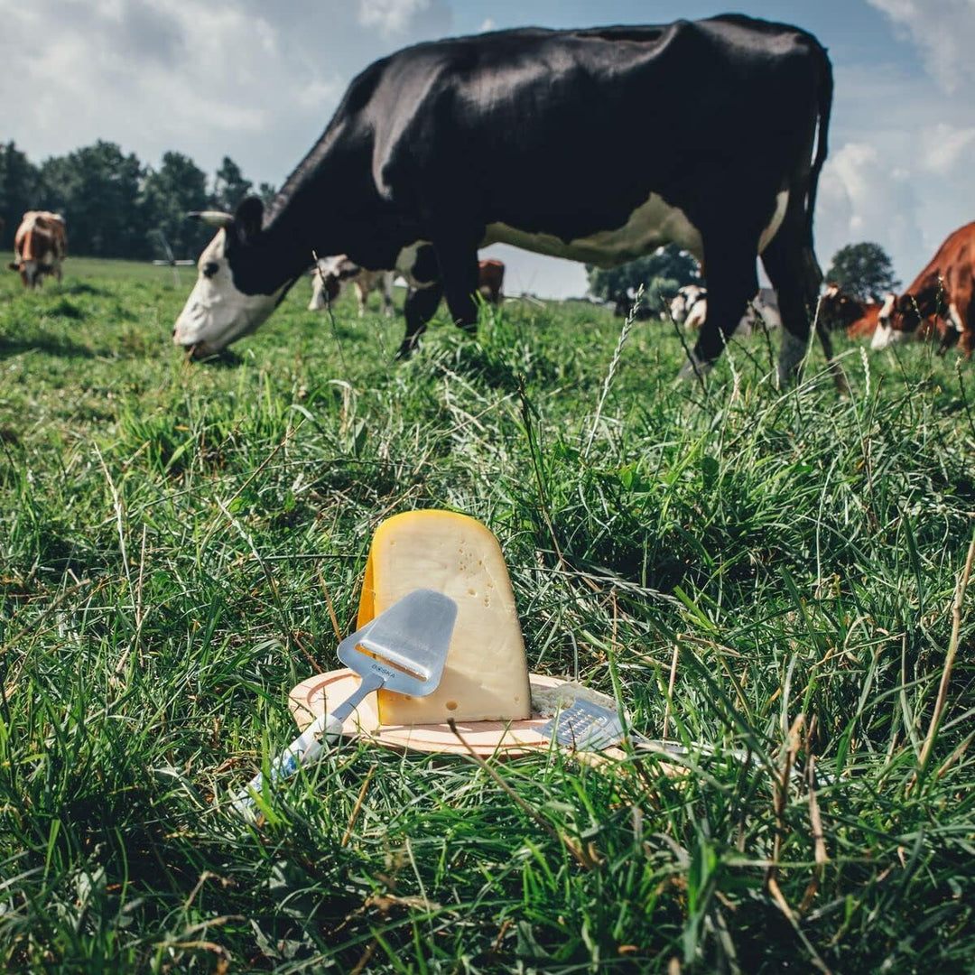 Boska Käsehobel Delfter Blau/spielerische Ausstrahlung/Keramik/Edelstahl/Delfter Blau, Delfter Blau