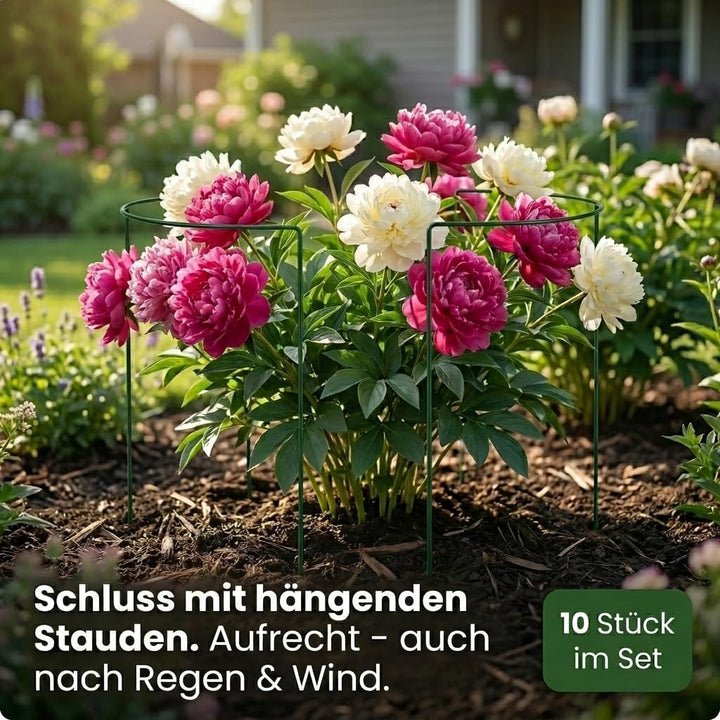 10 STÜCK Pflanzenstütze halbrund - Ø 38 cm - 100 cm hoch - aus 4mm kunststoffummantelten Draht - Für