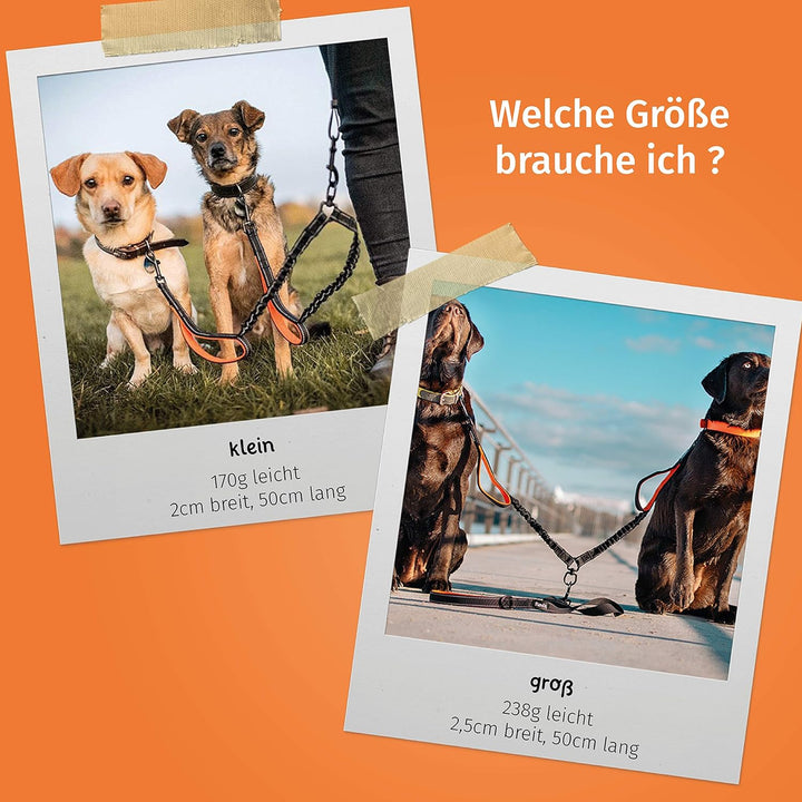 Floxik Doppelleine Komplett-Set gross | Flexible, reflektierende Premium Hundeleine für Zwei Hunde z