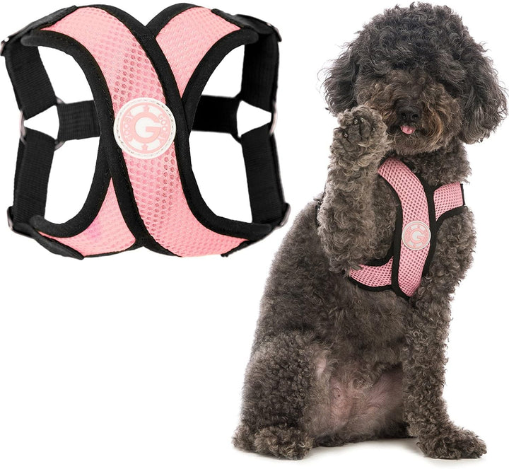 Gooby - Comfort X Step-In-Hundegeschirr, Würgefrei, mit Mikro-Wildlederbesatz und patentiertem X-Rah