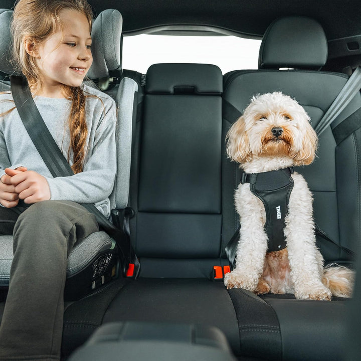 Thule Cappy Hundegeschirr Fürs Auto Black, S Schwarz S, Schwarz S