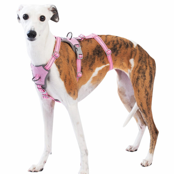 Huntboo Sicherheitsgeschirr Hund Ausbruchsicher, Panikgeschirr für Hunde, Anti Zug Hundegeschirr, Re