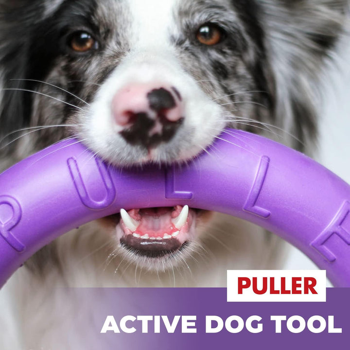 PULLER Midi Interaktives Hundespielzeug Fitness-Tool-Set 19.5 cm/8 in, 19.5 cm/8 in
