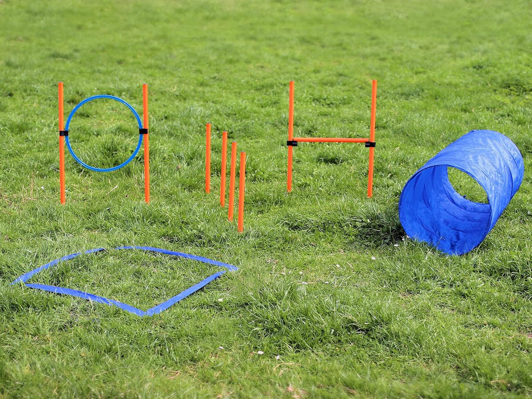 Agility Dog Trainings Set X Tunnel-Sprungring-Hürden-Slalom-Stangen für Hunde