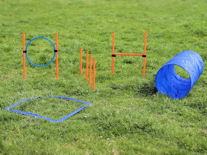 Agility Dog Trainings Set X Tunnel-Sprungring-Hürden-Slalom-Stangen für Hunde