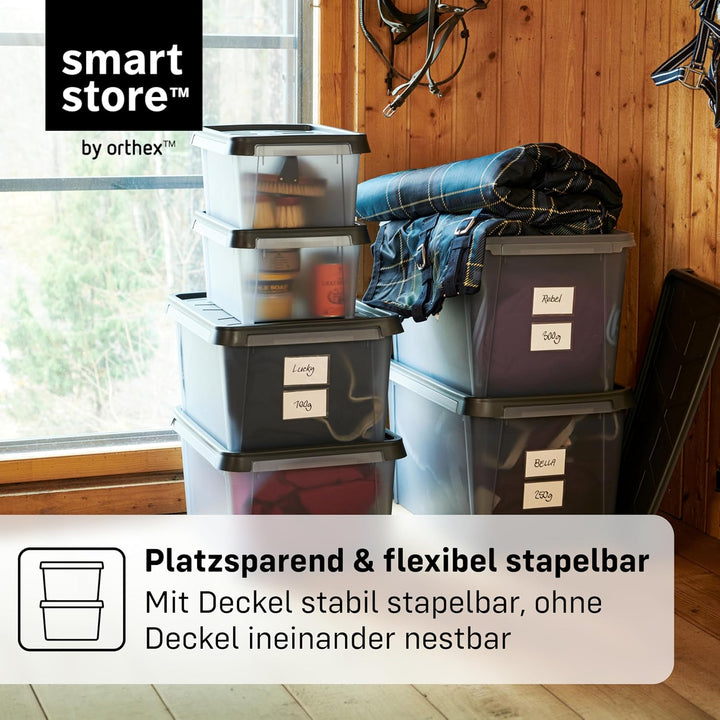 SmartStore Aufbewahrungsbox mit Deckel 50 L wasserdicht Plastik – 4er-Set – mattiert - ineinander &
