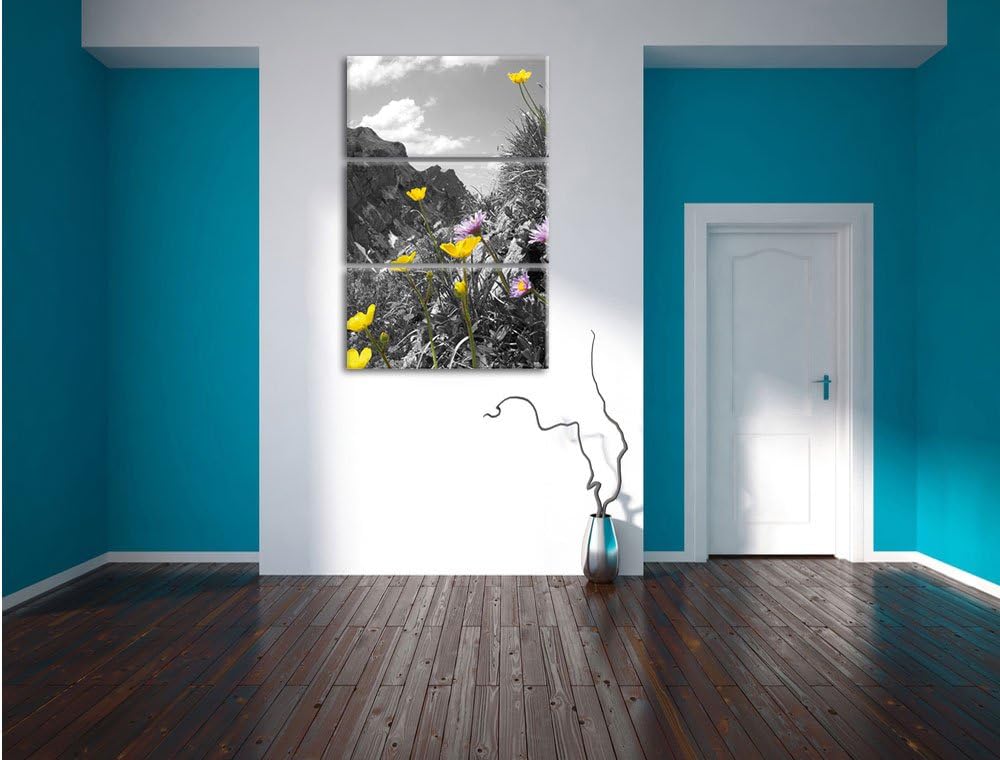 Pixxprint Traumhafte Blumenwiese im Frühling schwarz/weiss 3-Teiler Leinwandbild 120x80 Bild auf Lei