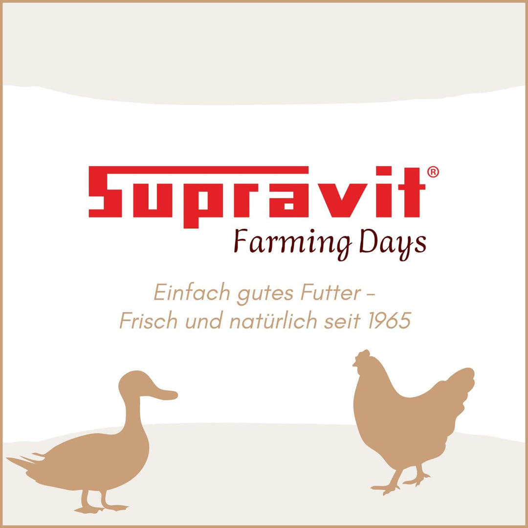 SUPRAVIT Weizen Futterweizen - 25kg aus regionaler Landwirtschaft - Ideales Einzelfuttermittel für T
