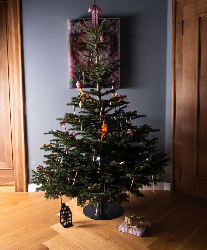 Weihnachtsbaumständer mit Wassertank aus Metall - Christbaumständer - Tannenbaumständer aus Stahl pu