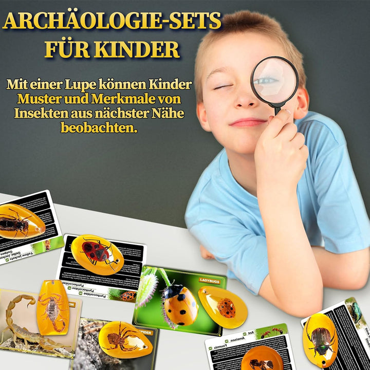 Bernstein Ausgrabungsset für Kinder ab 6 7 8 9 10 11 12 Jahren, Fossilien Ausgrabungsset Kinder mit
