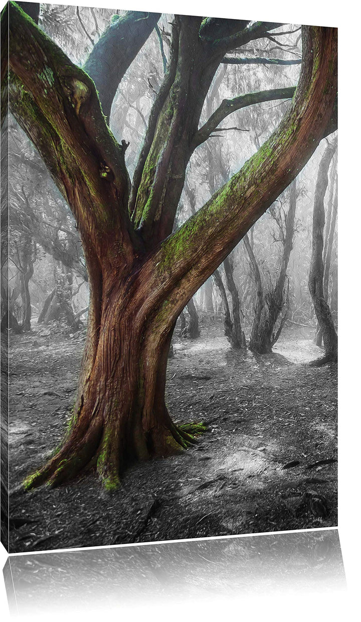 Pixxprint einsamer Baum in tristem Grau / 100x70cm Leinwandbild bespannt auf Holzrahmen/Wandbild Kun