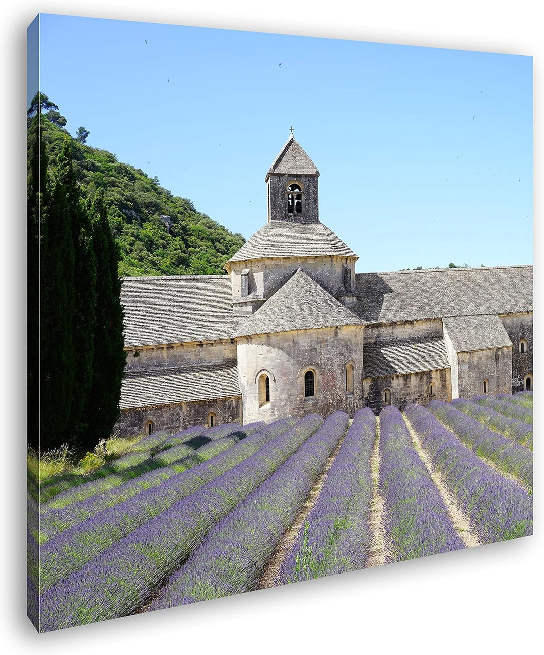 Lavendel Feld in der Toskana Format: 70x70 als Leinwandbild, Motiv fertig gerahmt auf Echtholzrahmen