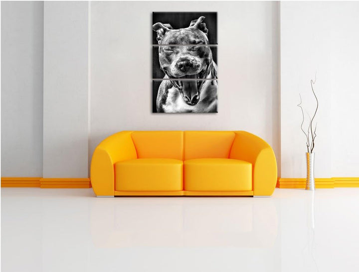 Pixxprint Lachender Pitbull als Leinwandbild | Grösse: 3 Teilig (120x80) | Wandbild| Kunstdruck | fe