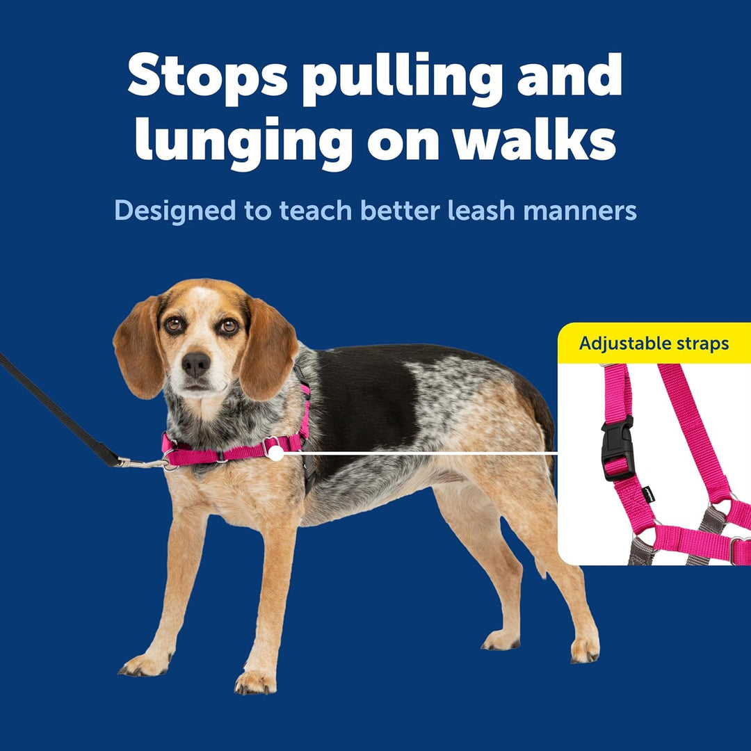PetSafe Easy Walk Hundegeschirr. Himbeere/Grau Small/Medium, Himbeere/Grau Small/Medium