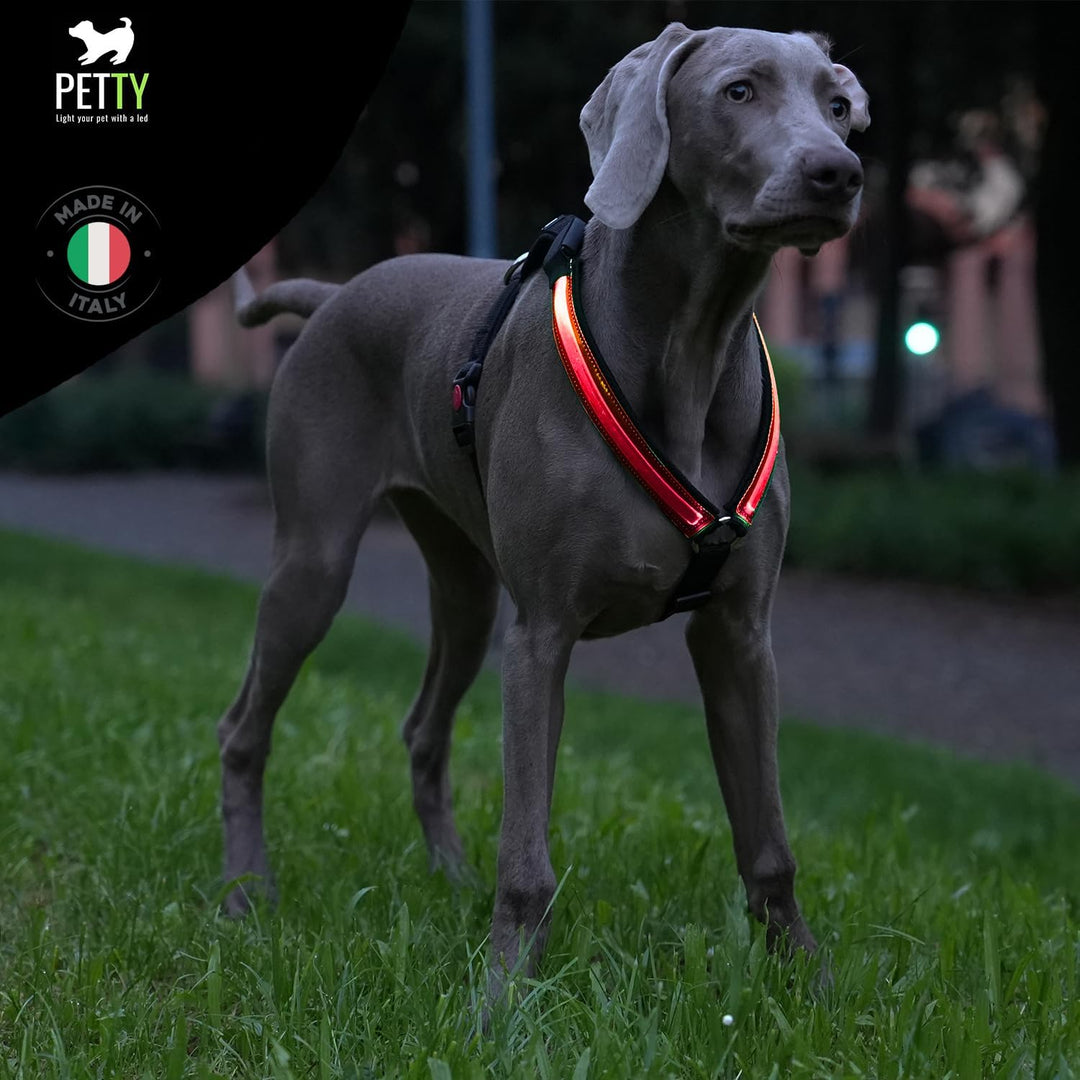 Petty Store -Leuchtharnisch für Hunde, wasserdicht, 3 Farben – Geschirr mit LED, USB-Aufladung bis z