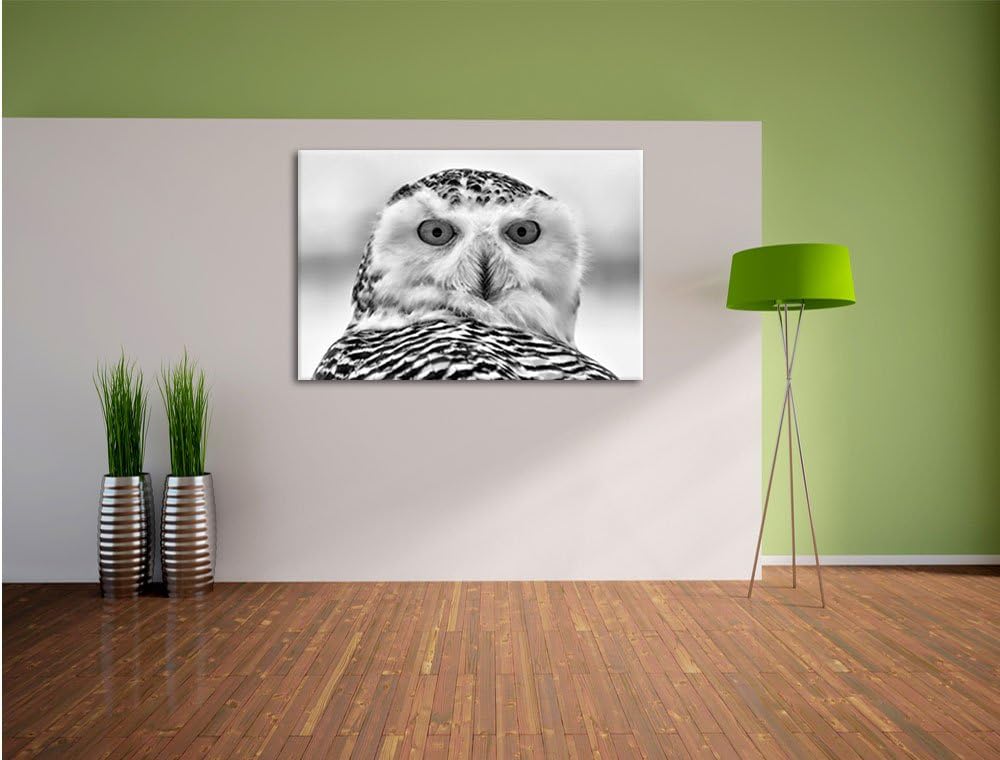 Monocrome, Schnee-Eule , Format: 100x70 auf Leinwand, XXL riesige Bilder fertig gerahmt mit Keilrahm