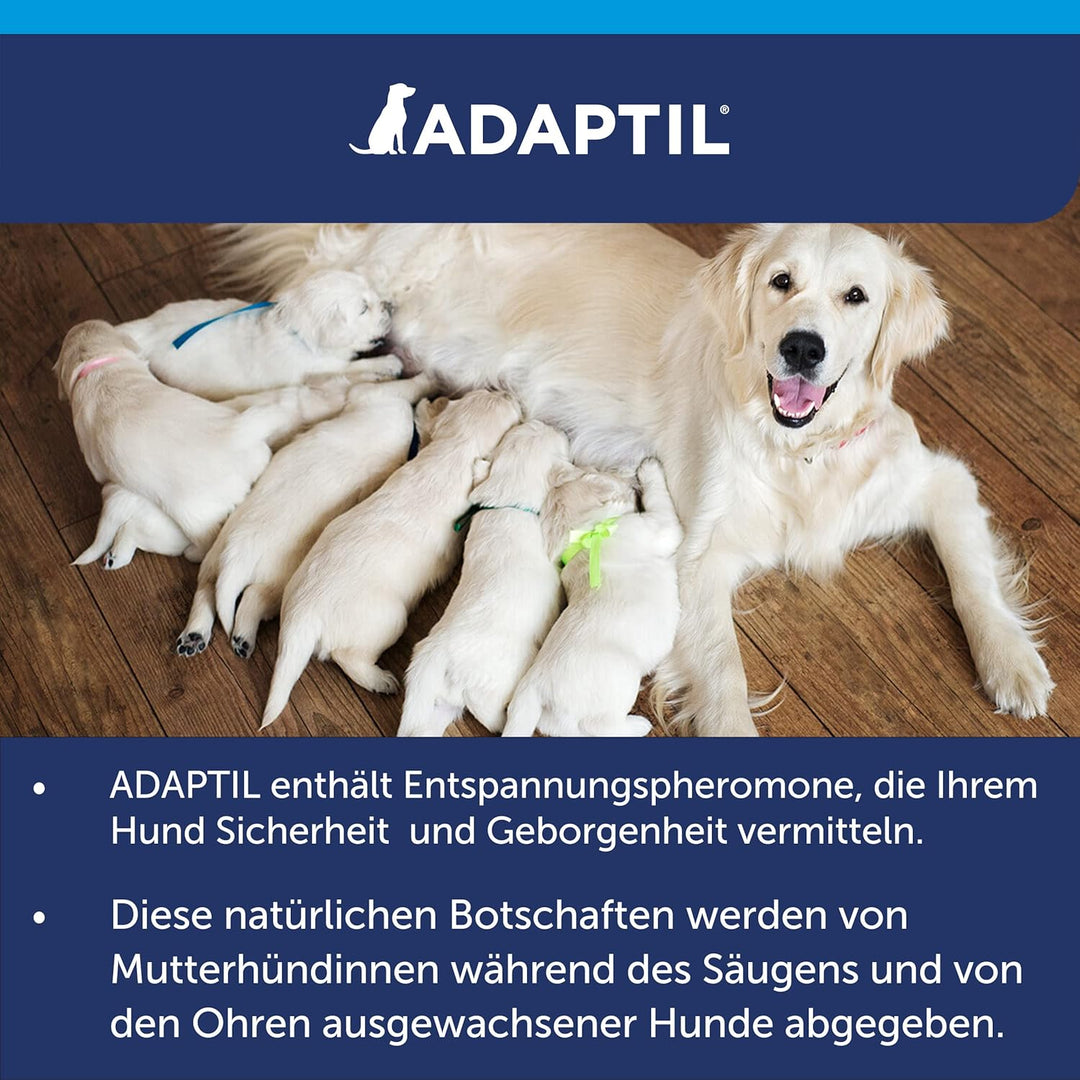 ADAPTIL Calm Vorteilspack für Hunde | 3X Nachfüllflakon | Pheromone zur Förderung des Wohlbefindens