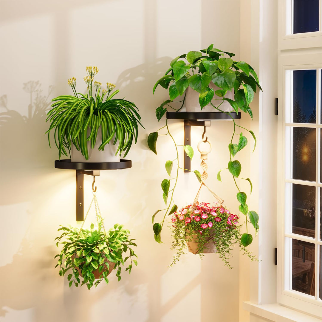 iDavosic.ly Wand Pflanzenhalter Set aus 2 Stück mit Licht, Metall Blumenständer mit 2 Haken, Wandmon