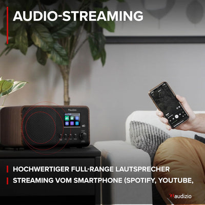 Audizio Avio - Kompaktes DAB Plus Radio mit Bluetooth, Digitalradio, FM & UKW, AUX, 30W Lautsprecher