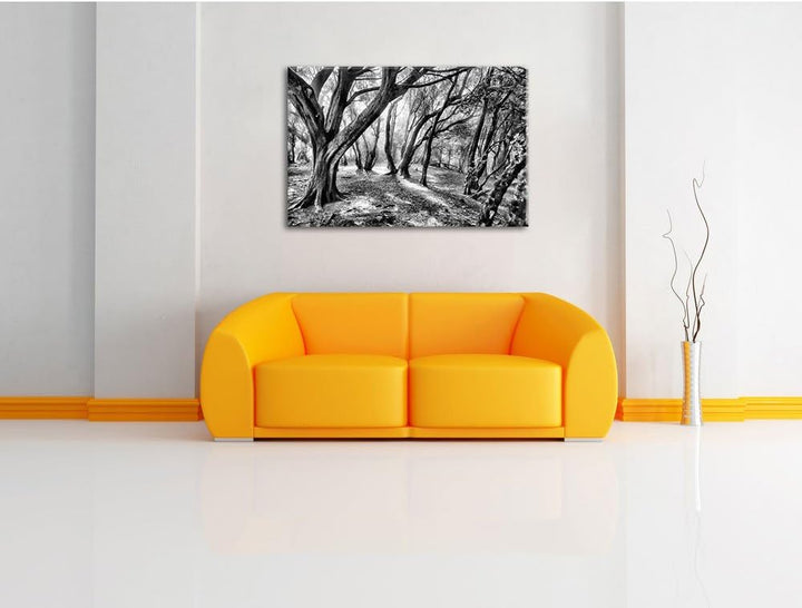 Monocrome, Wald, Format: 100x70 auf Leinwand, XXL riesige Bilder fertig gerahmt mit Keilrahmen, Kuns