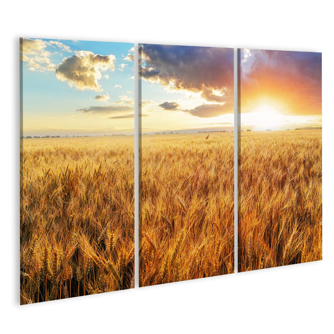Bild Bilder auf Leinwand Sonnenuntergang über dem Weizenfeld Wandbild Poster Leinwandbild RBI 130x80