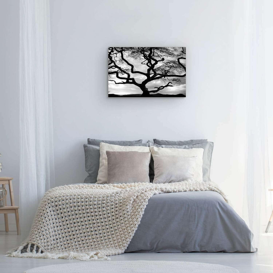 Startonight Leinwandbilder Schwarz und Weiss Sonnenuntergang Hinter dem Baum, Doppelansicht Überrasc