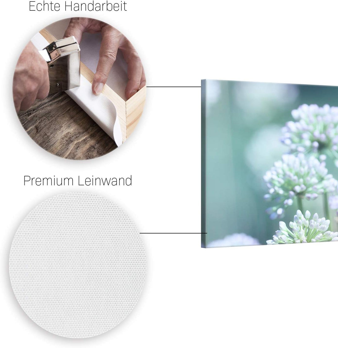 ge Bildet Bild auf Leinwand | Flowering Onion in 100x40 cm als Panorama Wandbild | Wand-deko Dekorat