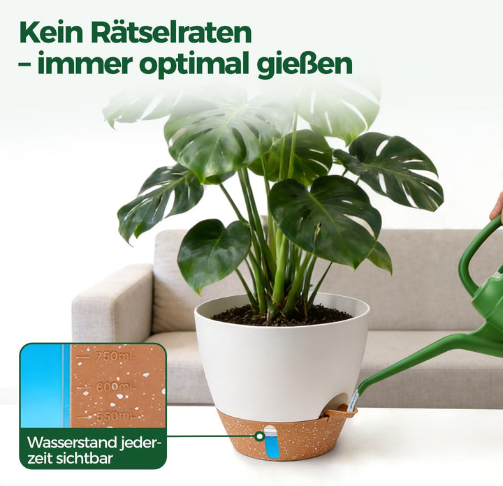 T4U 2er Set 25cm Selbstbewässernder Blumentopf mit Wasserstandsanzeige, ideal für Geigenfeige & Mons