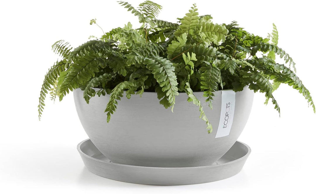 ECOPOTS Pflanzschale Blumentopf Brüssel Hellgrau Grau - Durchmesser Ø 30 cm rund gross - Pflanzentop