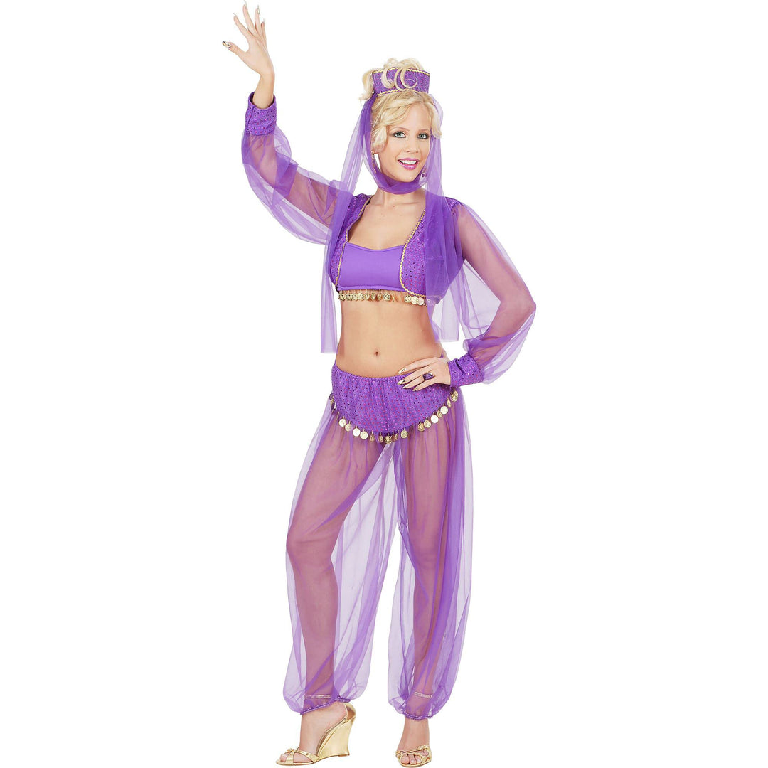 "HAREM BEAUTY" (top, shirt with vest, pants, headpiece with veil) - (S)