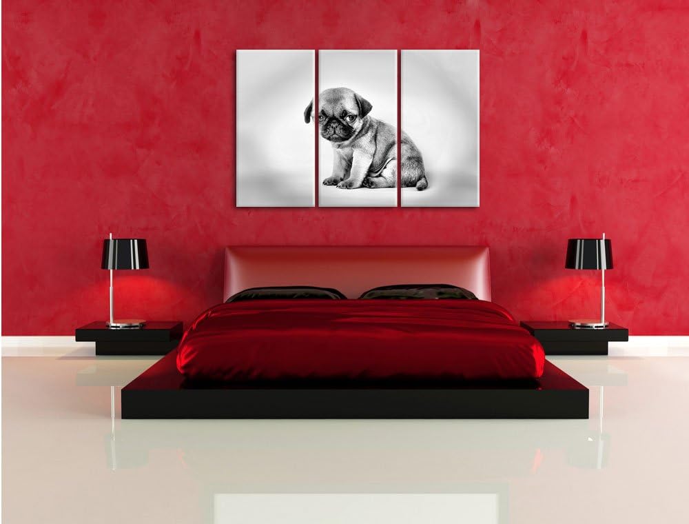 Pixxprint Kleiner Hundewelpe Mops als Leinwandbild/Grösse: 3 Teilig (120x80 cm) cm/Wandbild/Kunstdru
